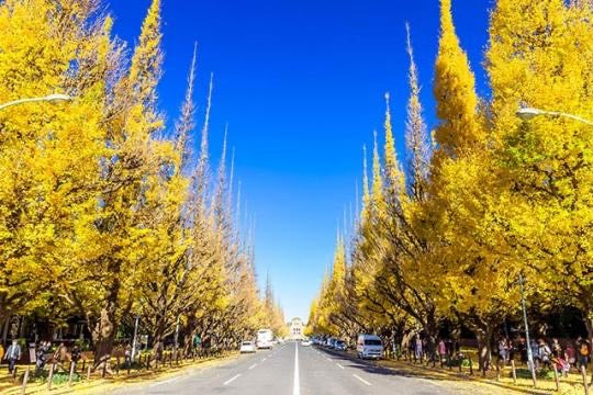 Art and Cafe × Aoyama  Top 10 Aoyama Attractions Popular with Japanese &amp; Top 10 Loved by Foreign Visitors  Discover a Sophisticated Side of Tokyo with Shopping, Culture, and Unique Art Experiences