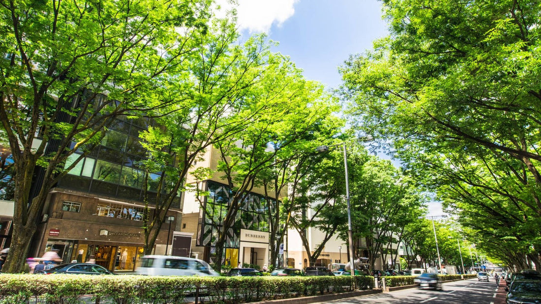 アートアンドカフェ × 青山  日本人に人気の青山の名所トップ10 &amp; 外国人に人気の青山の名所トップ10  洗練された街・青山で楽しむショッピング、カルチャー、そしてアート体験